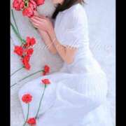 ヒメ日記 2025/05/27 17:20 投稿 美沙(みさ) 梅田泡洗体ハイブリッドエステ