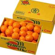 ヒメ日記 2025/01/02 02:00 投稿 かなた 新大阪秘密倶楽部