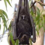 ヒメ日記 2025/02/01 19:10 投稿 かなた 新大阪秘密倶楽部