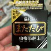 ヒメ日記 2025/02/20 22:45 投稿 かなた 新大阪秘密倶楽部