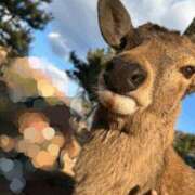 ヒメ日記 2025/02/24 10:10 投稿 かなた 新大阪秘密倶楽部