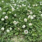 ヒメ日記 2025/06/01 12:10 投稿 かなた 新大阪秘密倶楽部