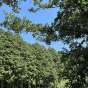 ヒメ日記 2025/08/02 10:10 投稿 かなた 新大阪秘密倶楽部