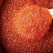 ヒメ日記 2026/01/03 18:45 投稿 かなた 新大阪秘密倶楽部