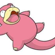 ヒメ日記 2025/01/25 12:00 投稿 かりん やまとなでしこ桜組