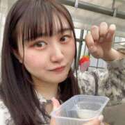 ヒメ日記 2025/04/12 22:08 投稿 かりん やまとなでしこ桜組