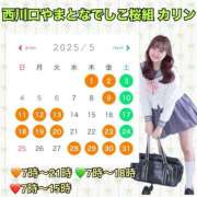 ヒメ日記 2025/04/20 14:02 投稿 かりん やまとなでしこ桜組