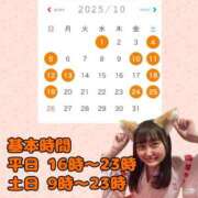 ヒメ日記 2025/10/02 09:42 投稿 かりん やまとなでしこ桜組