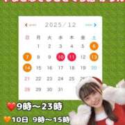 ヒメ日記 2025/12/05 10:14 投稿 かりん やまとなでしこ桜組