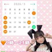 ヒメ日記 2026/02/17 20:51 投稿 かりん やまとなでしこ桜組