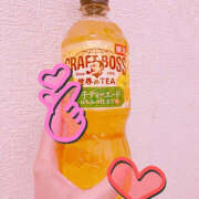 アムロ おはようございます☀️ 横浜ハッピーマットパラダイス