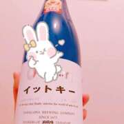 ヒメ日記 2026/04/16 09:07 投稿 アムロ 横浜ハッピーマットパラダイス