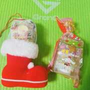 ヒメ日記 2024/12/23 07:33 投稿 ひかり プールサイド