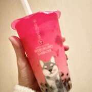 ヒメ日記 2025/01/06 12:24 投稿 ひかり プールサイド