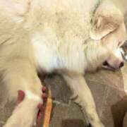 ヒメ日記 2025/01/23 11:41 投稿 ひかり プールサイド