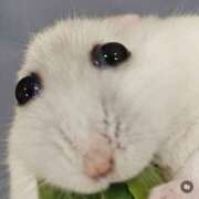 ヒメ日記 2025/03/05 11:13 投稿 ひかり プールサイド