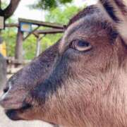 ヒメ日記 2025/05/08 13:22 投稿 ひかり プールサイド