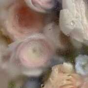 ヒメ日記 2025/09/13 11:43 投稿 ひかり プールサイド