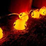 ヒメ日記 2025/10/23 13:03 投稿 ひかり プールサイド