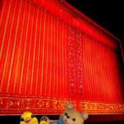 ヒメ日記 2025/11/10 13:01 投稿 ひかり プールサイド