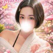 ヒメ日記 2026/03/17 07:11 投稿 ひかり プールサイド