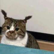 ヒメ日記 2026/03/18 09:39 投稿 ひかり プールサイド