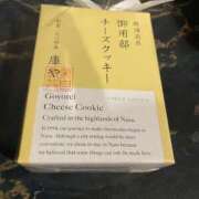 ヒメ日記 2026/03/27 10:58 投稿 ひかり プールサイド