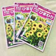 ヒメ日記 2026/04/16 07:02 投稿 ひかり プールサイド