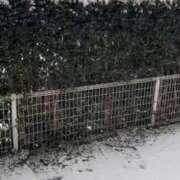 ヒメ日記 2026/02/08 08:30 投稿 ミヤ 松戸角海老岩瀬店