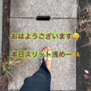 ミヤ おはようございます⛑️ 松戸角海老岩瀬店