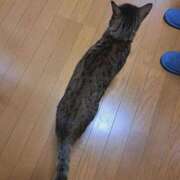 ヒメ日記 2024/12/27 18:20 投稿 もか 若妻淫乱倶楽部