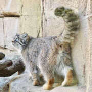 ヒメ日記 2025/01/28 00:24 投稿 もか 若妻淫乱倶楽部