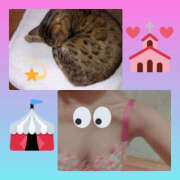 ヒメ日記 2025/03/15 02:56 投稿 もか 若妻淫乱倶楽部