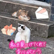 ヒメ日記 2025/04/03 03:59 投稿 もか 若妻淫乱倶楽部