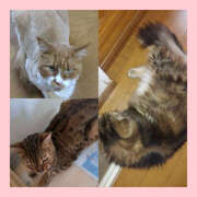 ヒメ日記 2025/04/06 01:48 投稿 もか 若妻淫乱倶楽部