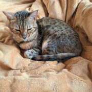 ヒメ日記 2025/11/19 15:34 投稿 もか 若妻淫乱倶楽部