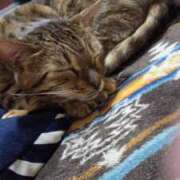 ヒメ日記 2025/12/22 19:59 投稿 もか 若妻淫乱倶楽部