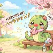 ヒメ日記 2026/09/30 07:10 投稿 もか 若妻淫乱倶楽部