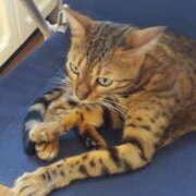 ヒメ日記 2025/01/04 19:26 投稿 もか 若妻淫乱倶楽部 久喜店