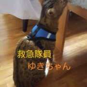 ヒメ日記 2025/01/06 02:02 投稿 もか 若妻淫乱倶楽部 久喜店