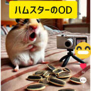 ヒメ日記 2025/02/12 21:20 投稿 もか 若妻淫乱倶楽部 久喜店