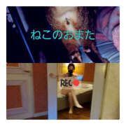 ヒメ日記 2025/04/07 12:10 投稿 もか 若妻淫乱倶楽部 久喜店