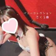 ヒメ日記 2025/03/29 18:11 投稿 サクラ バニーコレクション千葉栄町店