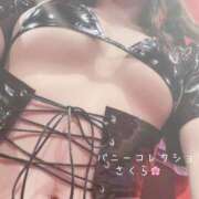 ヒメ日記 2025/05/21 08:44 投稿 サクラ バニーコレクション千葉栄町店