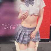 ヒメ日記 2025/05/26 14:31 投稿 サクラ バニーコレクション千葉栄町店