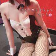 ヒメ日記 2025/08/30 16:58 投稿 サクラ バニーコレクション千葉栄町店