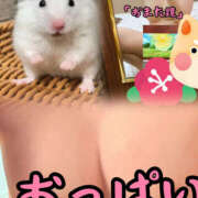 ヒメ日記 2024/12/21 23:50 投稿 もか 若妻淫乱倶楽部 古河店