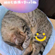 ヒメ日記 2024/12/22 23:34 投稿 もか 若妻淫乱倶楽部 古河店