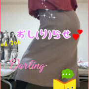 ヒメ日記 2024/12/23 16:19 投稿 もか 若妻淫乱倶楽部 古河店