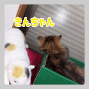 ヒメ日記 2025/04/21 01:45 投稿 もか 若妻淫乱倶楽部 古河店